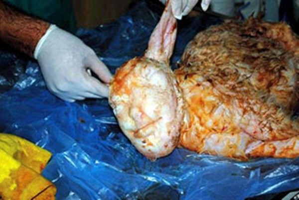 Những[-]sinh[-]vật[-]kỳ[-]dị[-]mang[-]khuôn[-]mặt...[-]"con[-]người"[-]5